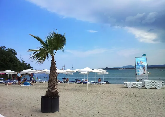 Primavera 2 פרימורסקו